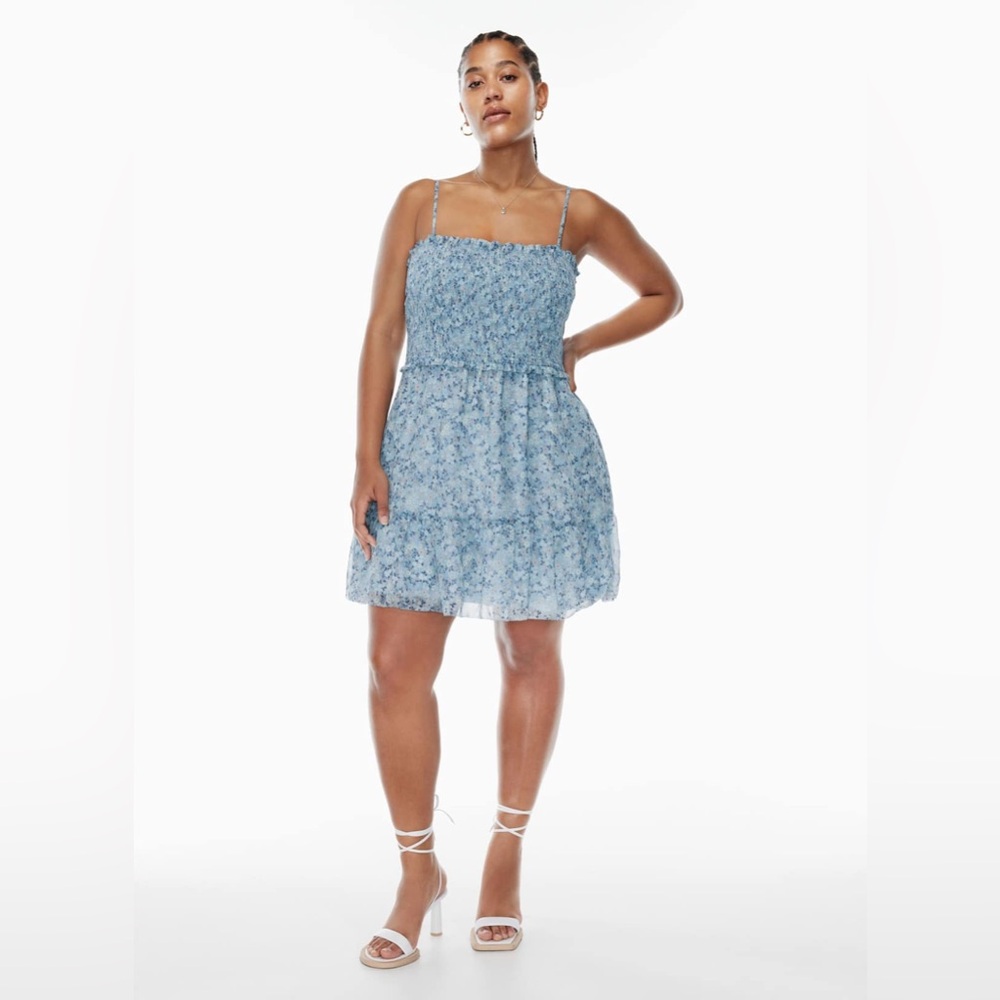 Aritzia‎ Wilford Blue Ditsy Floral Tempest Ruffle Smocked Boho Mini Dress L